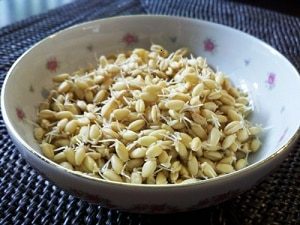 sproutedgrains