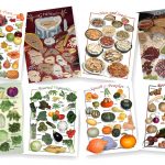 Natural Food Posters (9 x 12) - Variety- Complete set of 8      