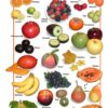 Natural Food Poster (9x12)- Fresh Fruit